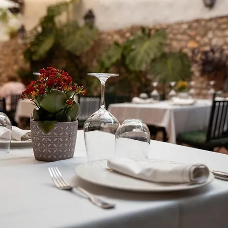 Nou Roma Denia