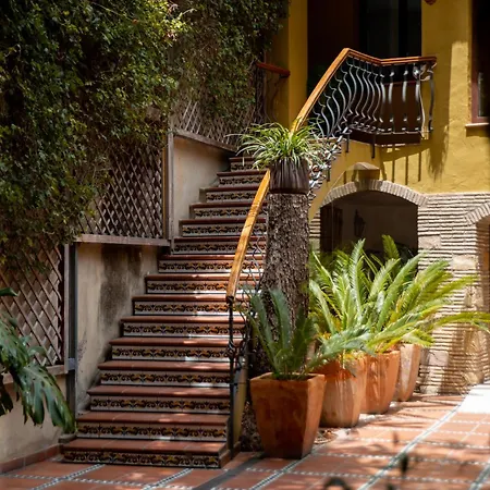 Nou Roma Denia